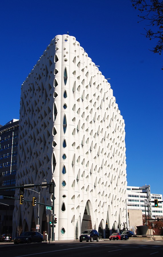 Populus by Brian LoBue