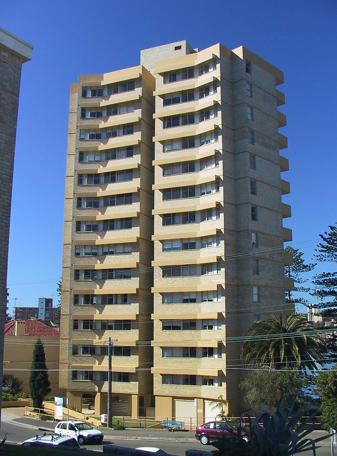 The Pines by John Bek