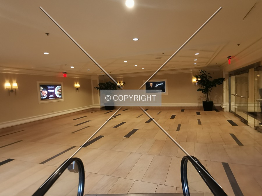 Bellagio Resort & Casino by Nephilim