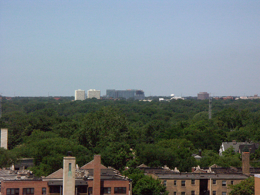 Optima Old Orchard Woods by Daniel Kieckhefer