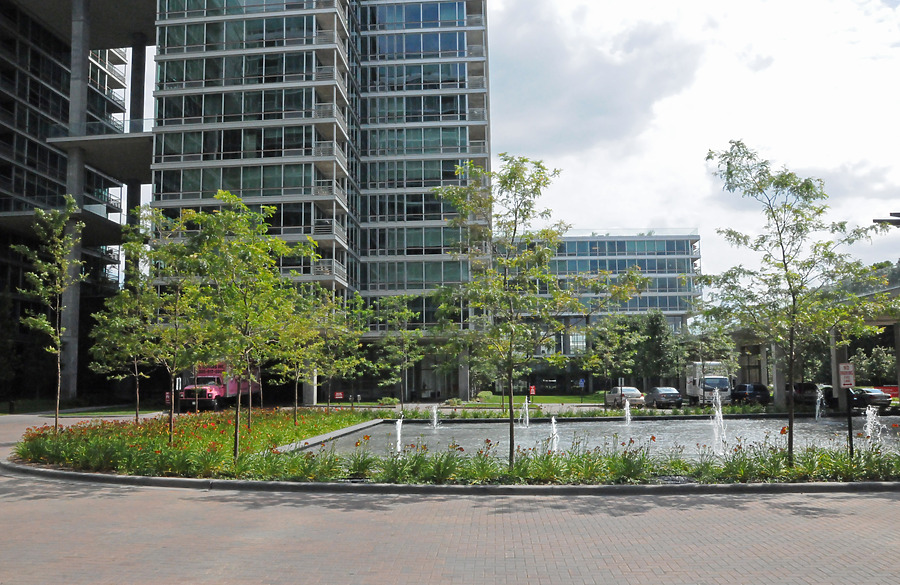 Optima Old Orchard Woods by Shawn Ursini