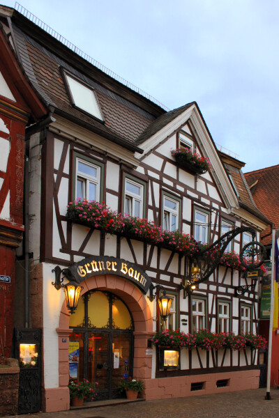 Gasthaus Zum Grünen Baum