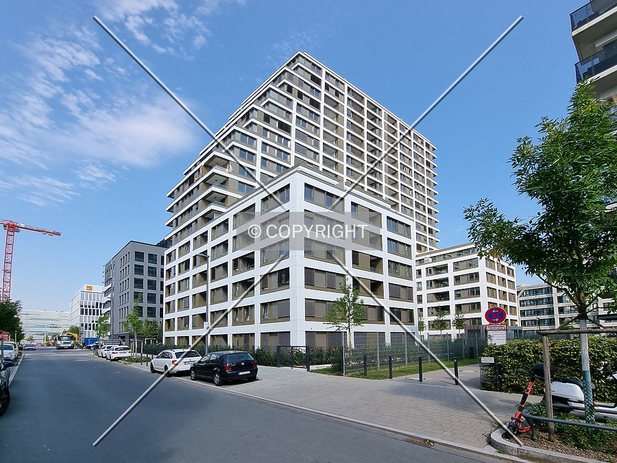 SOLID Home by Nephilim