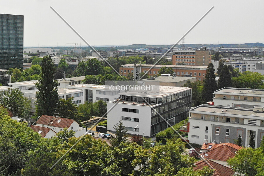 Birkenweg 24