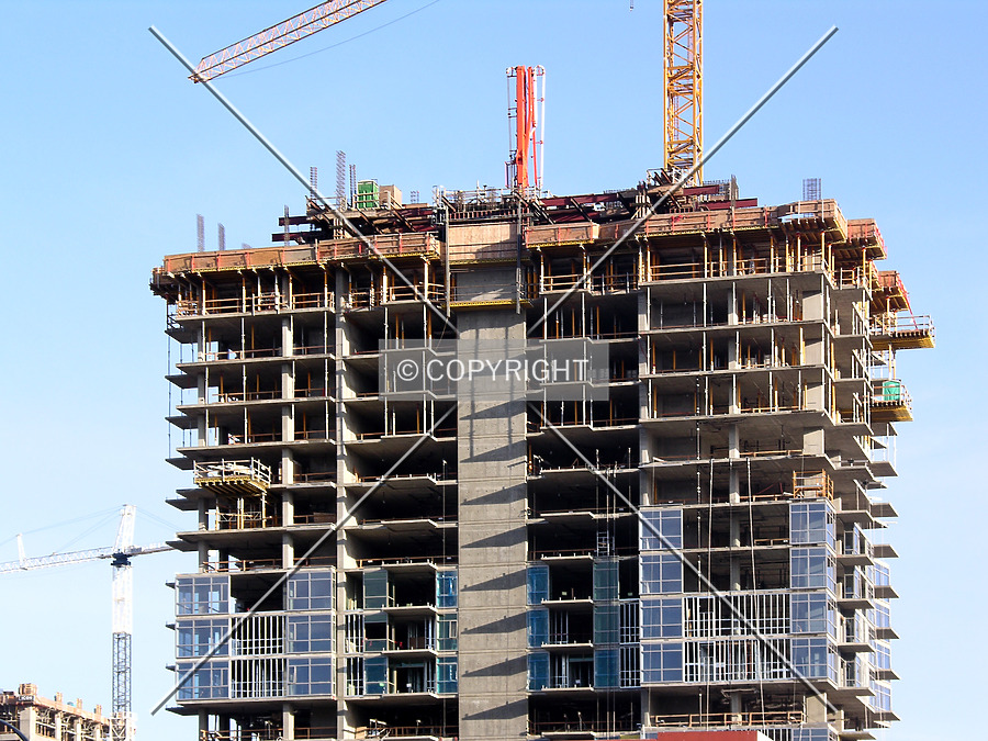 The Mark by Chris Patriarca