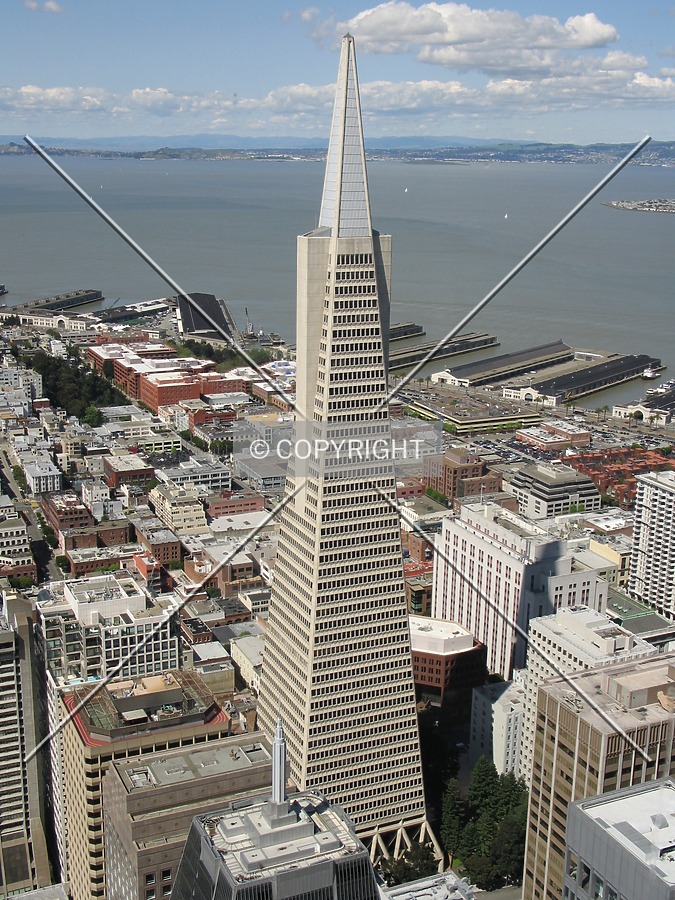 Transamerica Pyramid by Emmanuel D.
