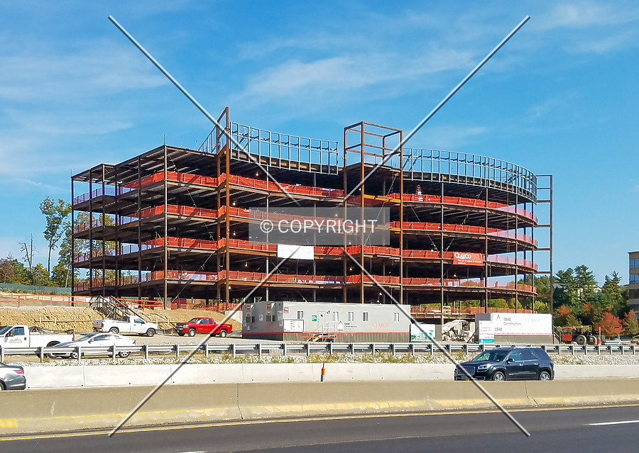 Delmar Gardens III by Ryan Hildebrand