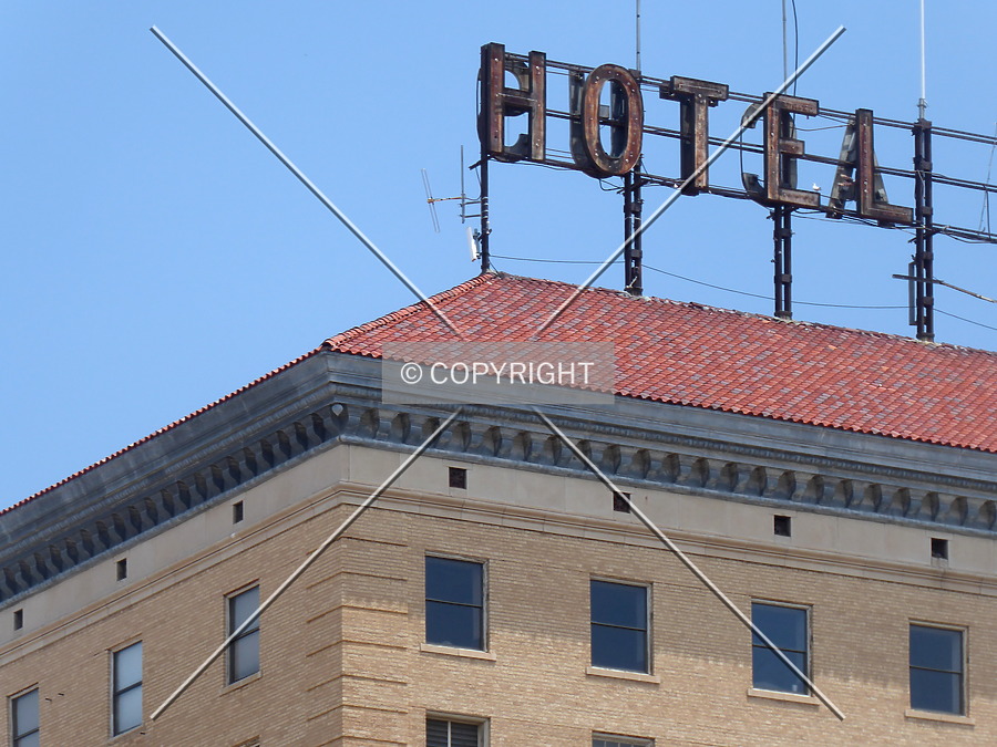 The Cactus Hotel by Chris Patriarca
