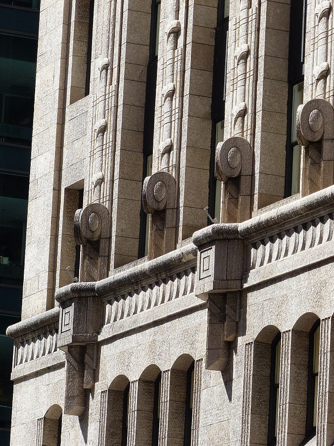 Shell Building by Nate Lindsey