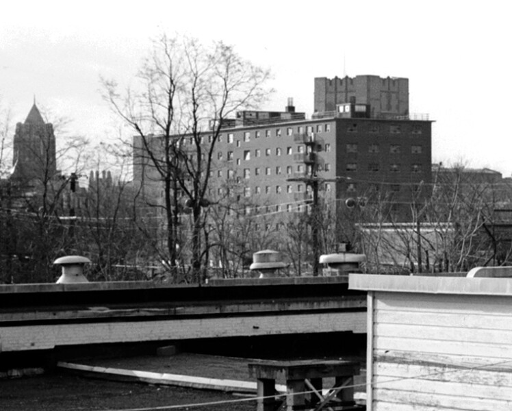 Elm Haven Tower V