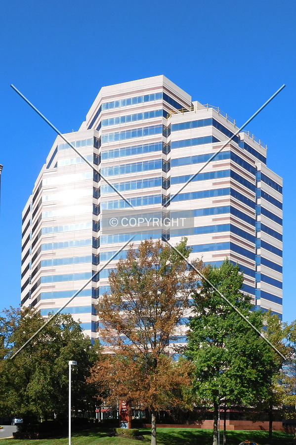 1650 Tysons Boulevard by Chris Patriarca