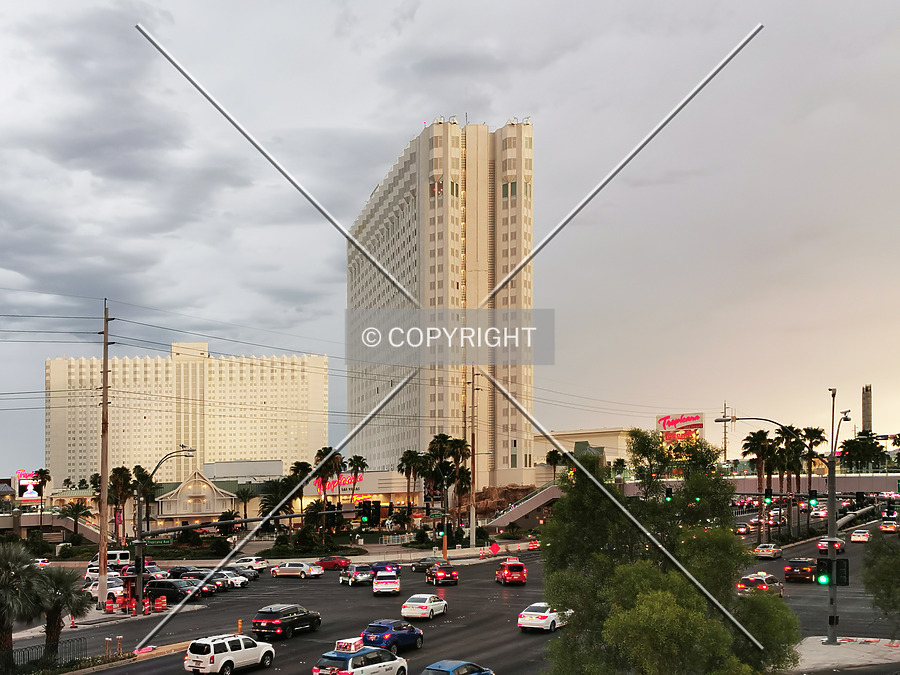 The Tropicana - Paradise Tower by Nephilim