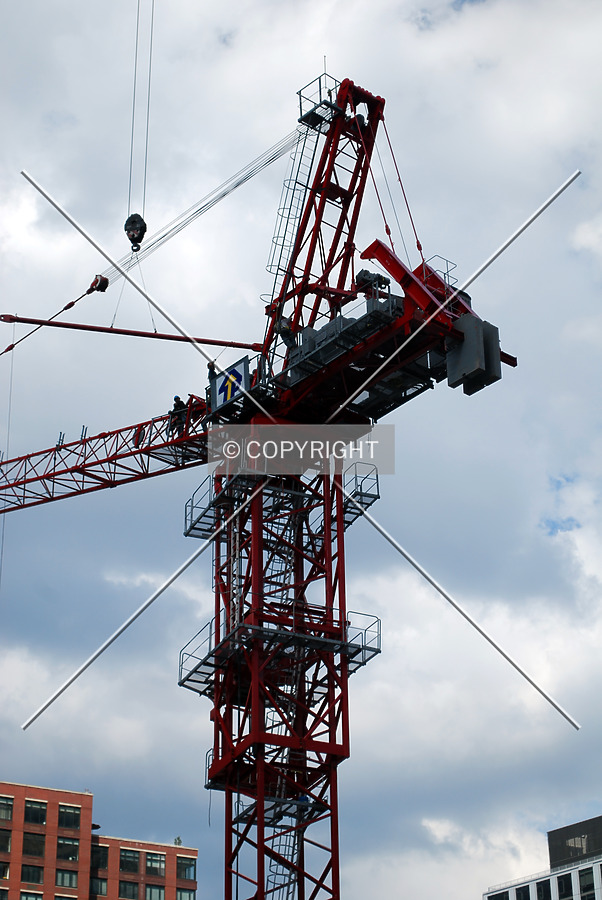 Liberty Luxe by Royce Douglas