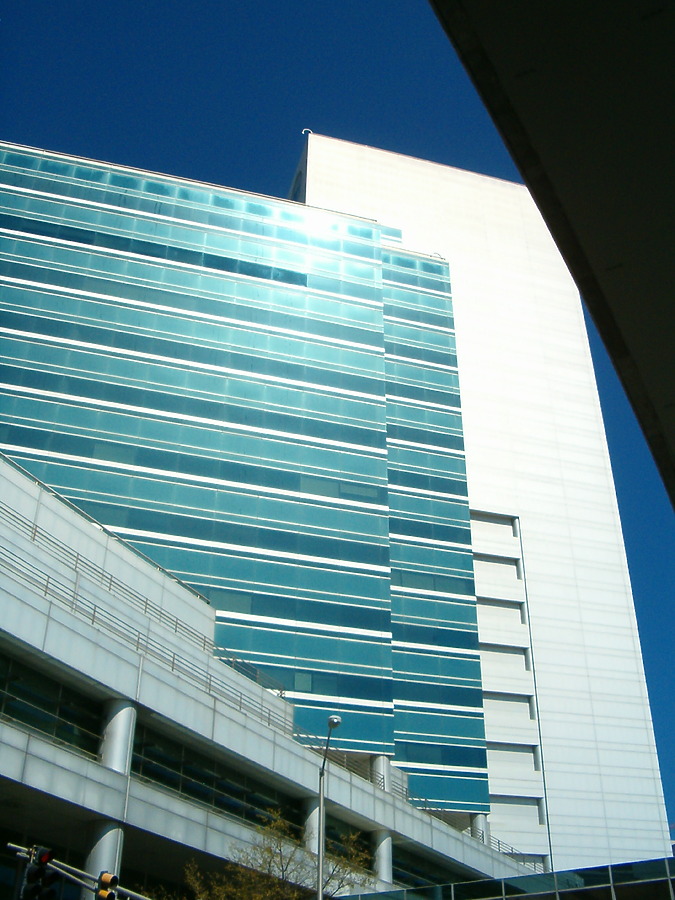 Two Prudential Plaza by Rodney Gunn