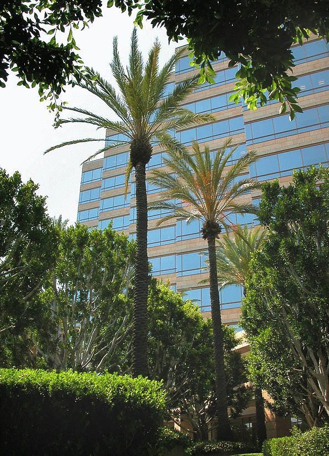 Studio Plaza by Jim Schwartz