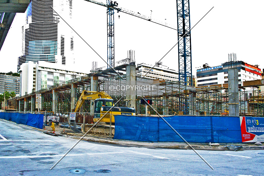 Monarc at Met 3 by Jorge Molina