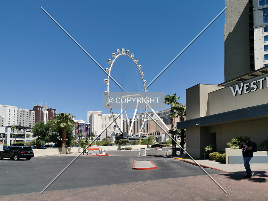 High Roller by Nephilim