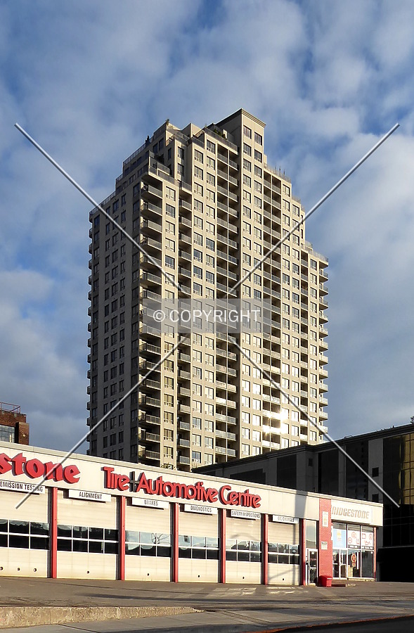 The Renaissance One by Chris Patriarca