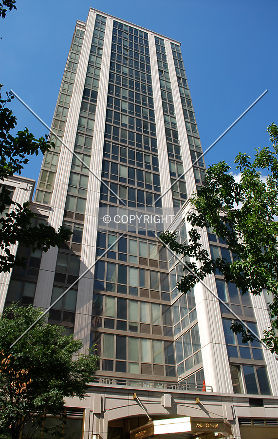 The Pearl by Royce Douglas