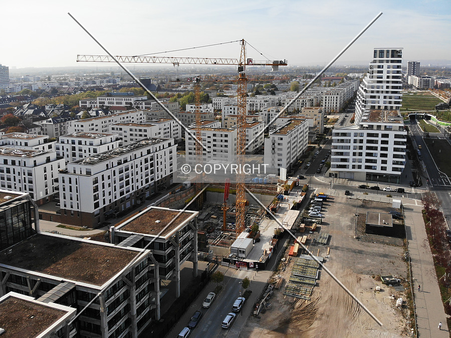 SOLID Home by Nephilim