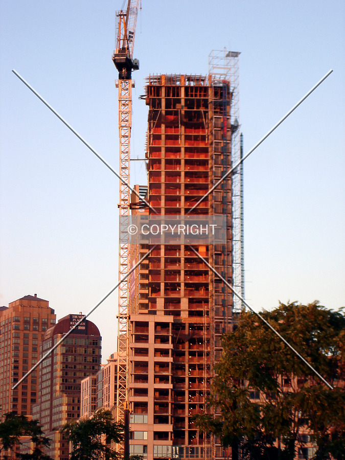 The Rushmore by Royce Douglas