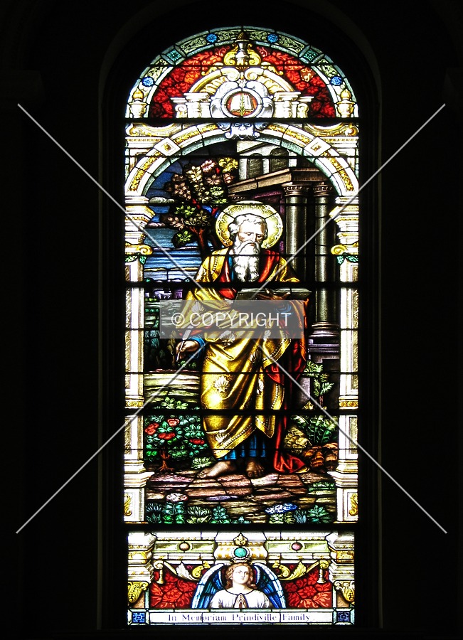 Cathedral Basilica of Saint Joseph by Emmanuel D.