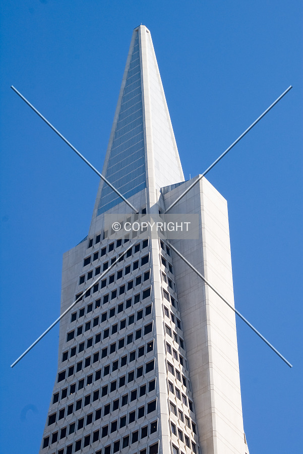 Transamerica Pyramid by Martin Bugajski