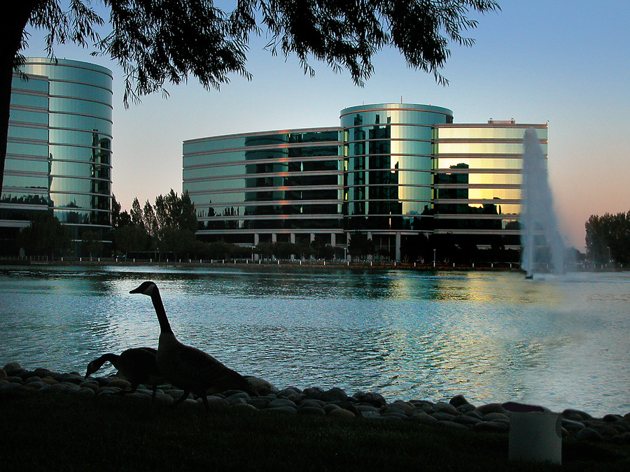 Oracle 600 by Jim Schwartz