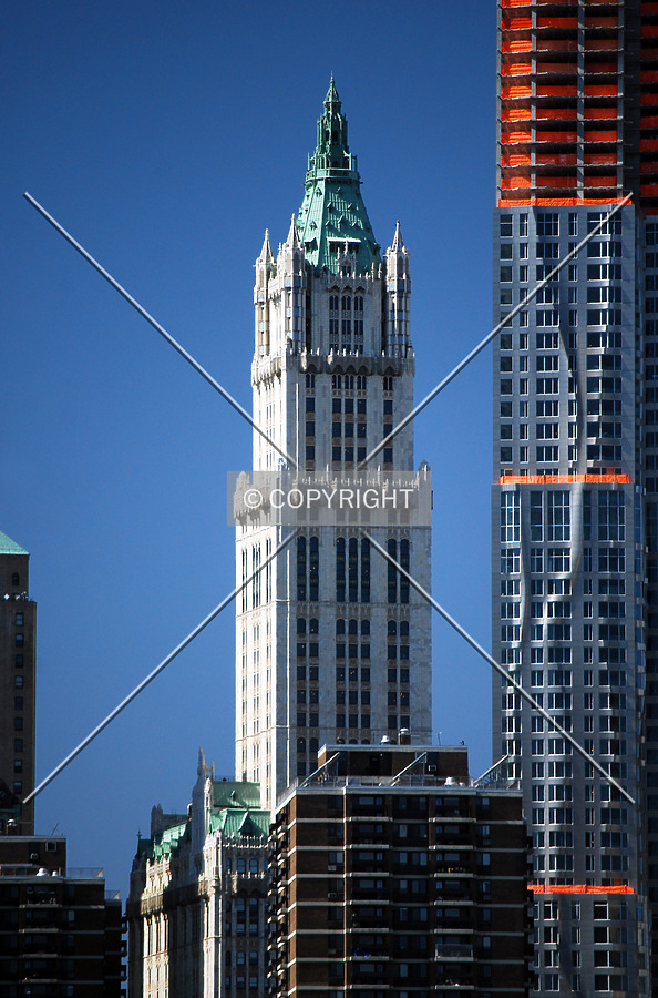 Woolworth Building by Royce Douglas