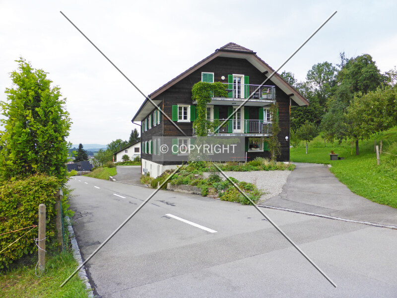 Waldihofstrasse 31
