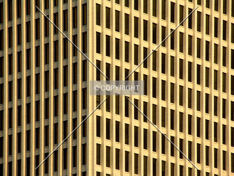 William R. Snodgrass Tennessee Tower by Chris Patriarca