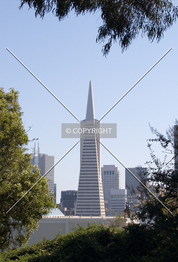 Transamerica Pyramid by Martin Bugajski