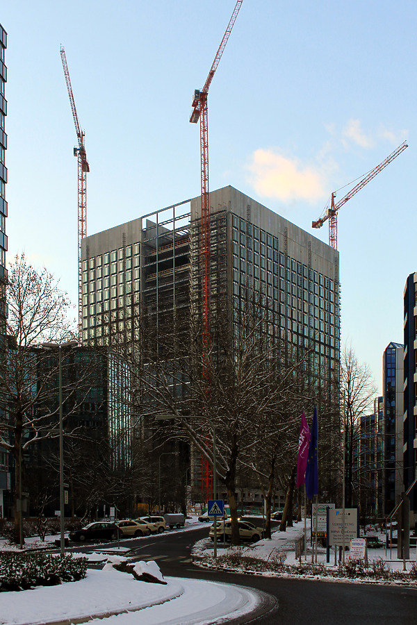 The Cube by Daniel Kieckhefer