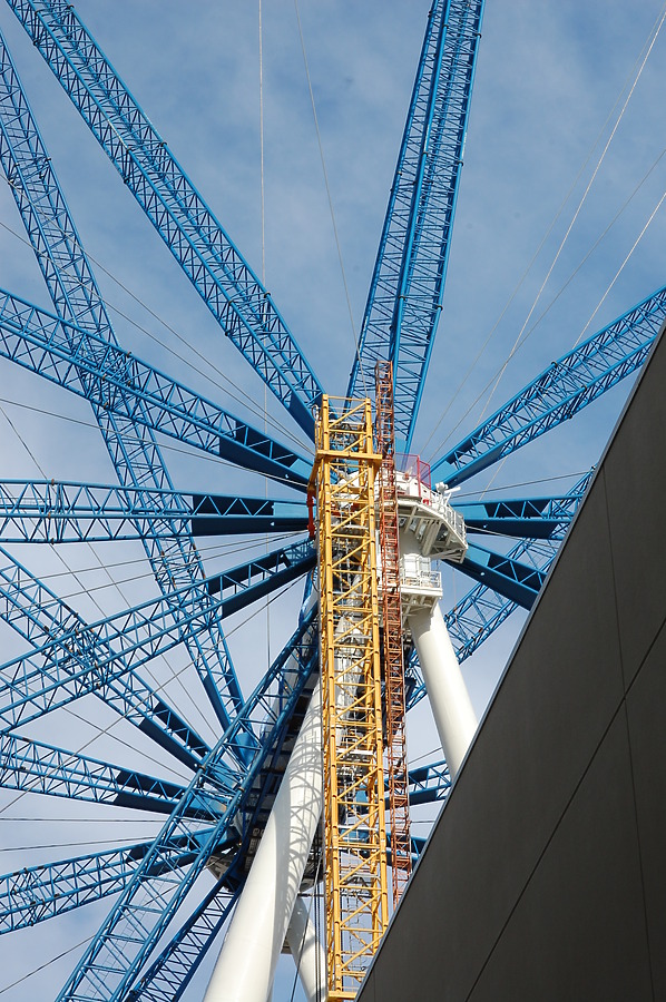 High Roller by Brian LoBue