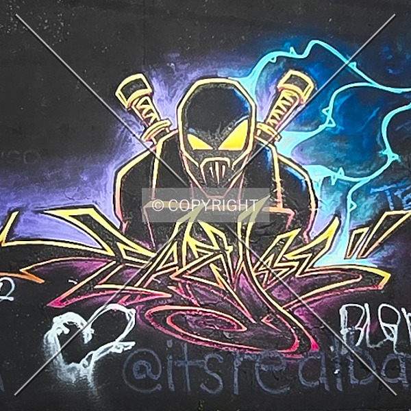 Saint Louis City Flood Wall (South Wall) by Ryan Hildebrand