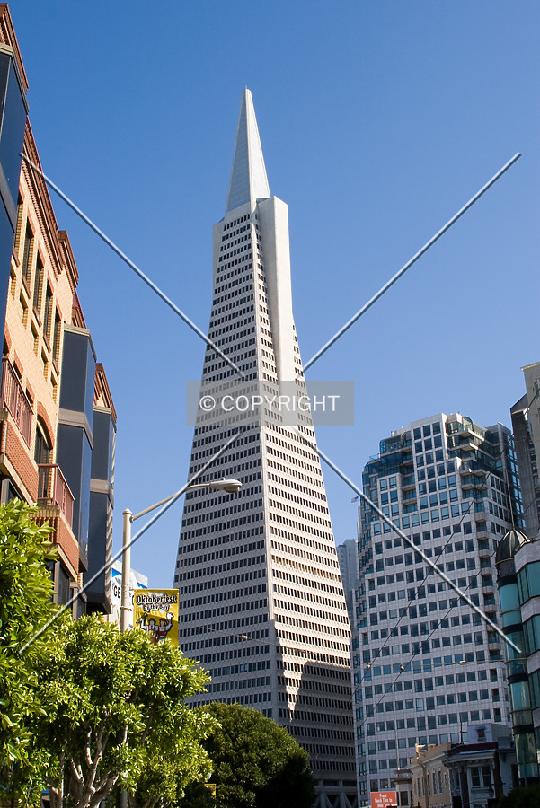 Transamerica Pyramid by Martin Bugajski
