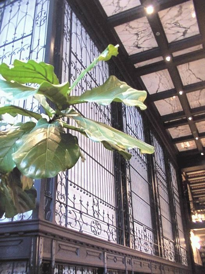 Reliance Building by Daniel Kieckhefer