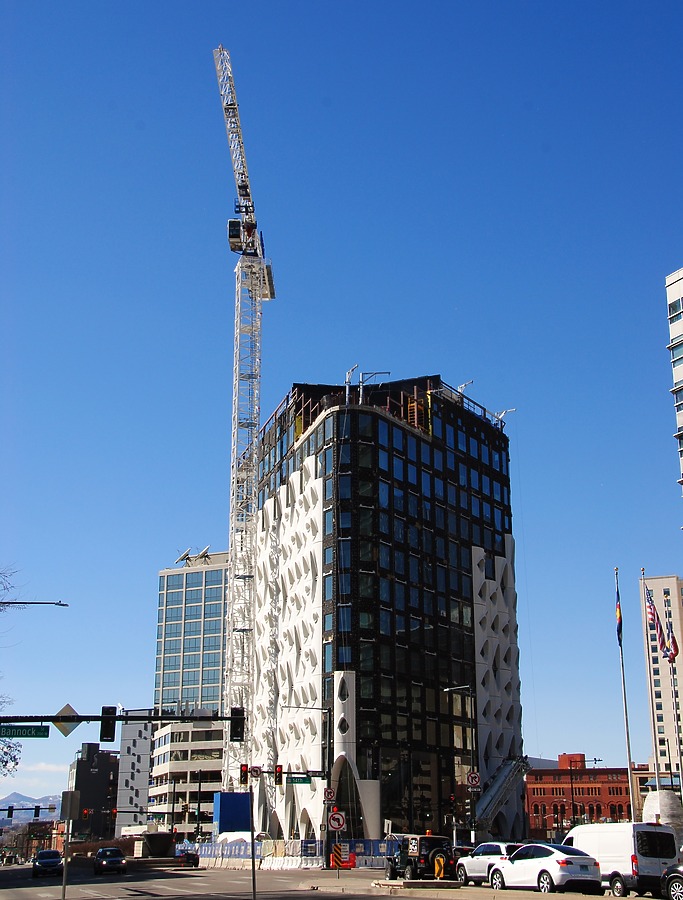 Populus by Brian LoBue