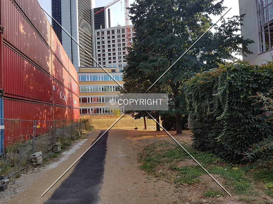 One Forty West by Nephilim