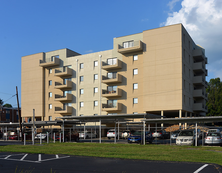 Fort Henry Arms by John W. Cahill