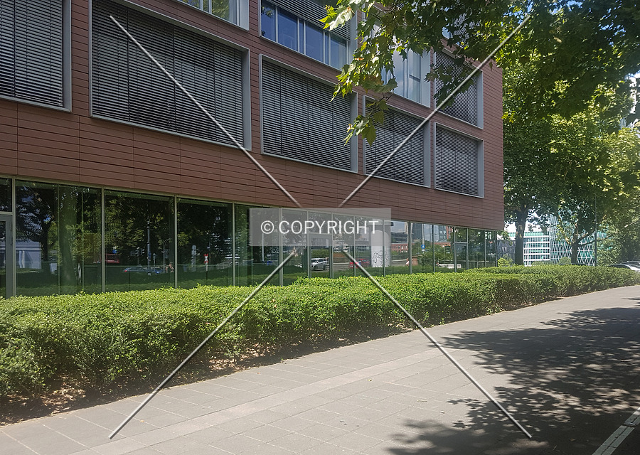 Allianz-Kai by Nephilim