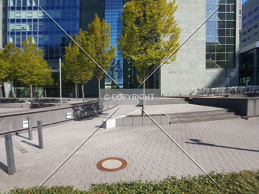 Herriot´s by Nephilim