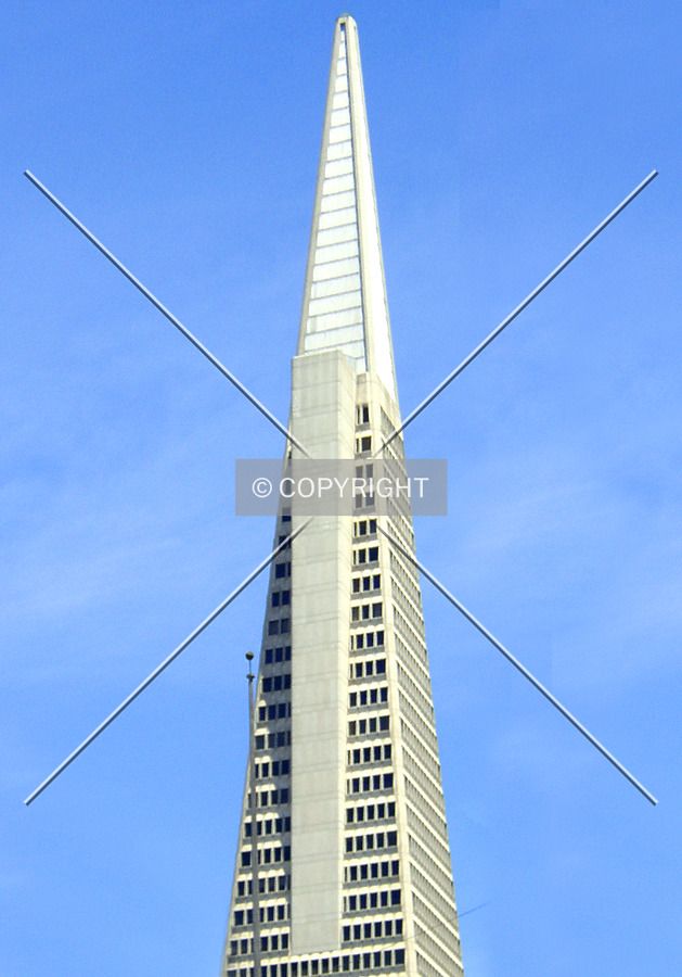 Transamerica Pyramid by Chris Patriarca
