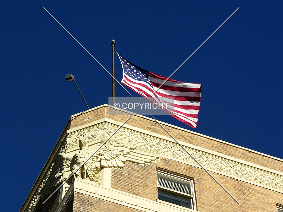 Forrest Hotel by Chris Patriarca