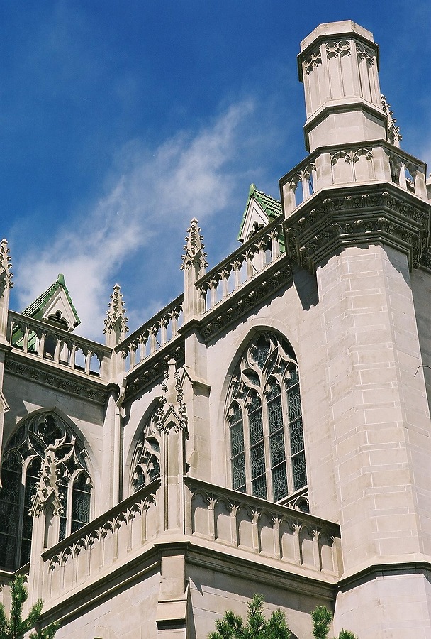 Cathedral Basilica of the Immaculate Conception by Brian LoBue