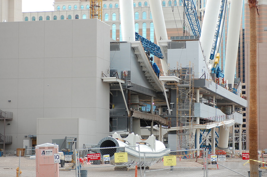 High Roller by Brian LoBue