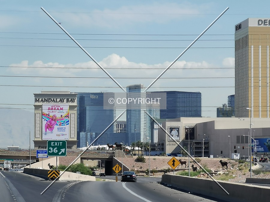 Aria Resort & Casino by Nephilim