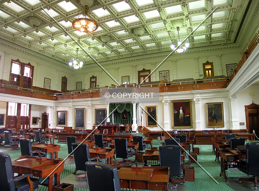 Texas State Capitol by Serdica