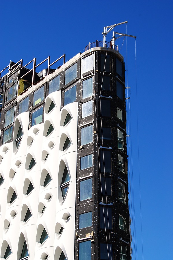 Populus by Brian LoBue