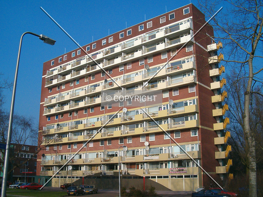 P.Breughel by René Hogendijk